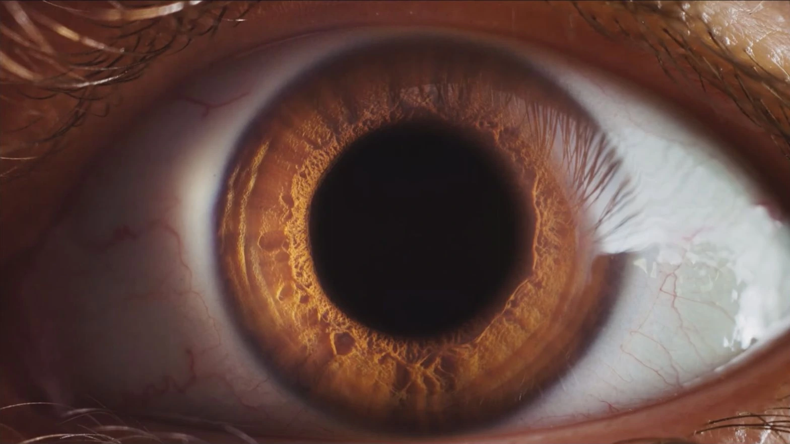 Caritas, frame from the film